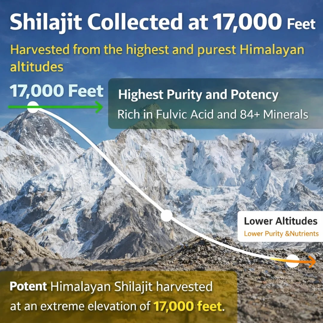 100% Pure Himalayan Shilajit Resin (Gold Grade)
