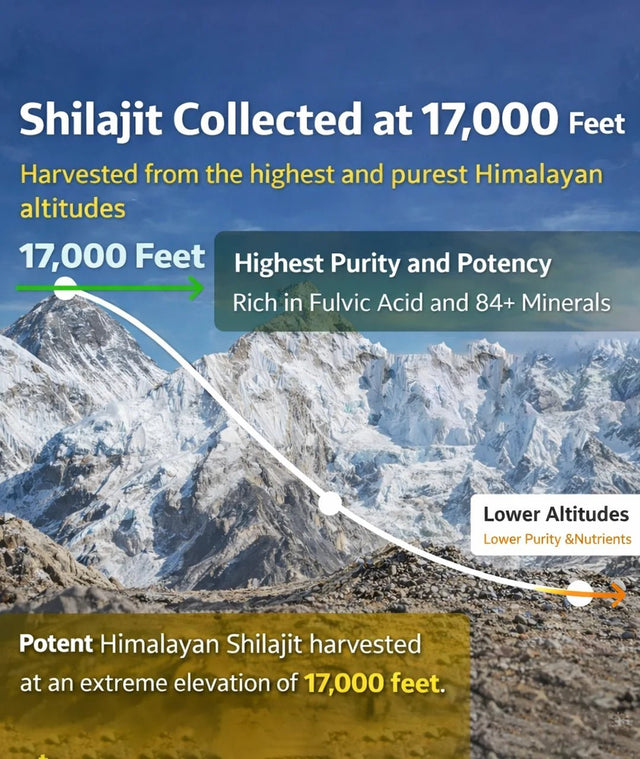 Original Shilajit in Dubai – 100% Pure Himalayan Resin