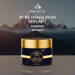 Himalayan Shilajit 20g Pack of 1